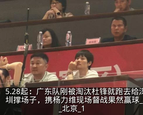5.28起:广东队刚被淘汰杜锋就跑去给深圳撑场子,携杨力维现场督战果然赢球_广厦_北京_1