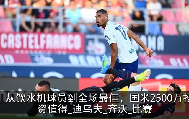从饮水机球员到全场最佳,国米2500万投资值得_迪乌夫_齐沃_比赛